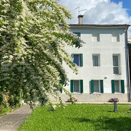 Magnolia 41 *